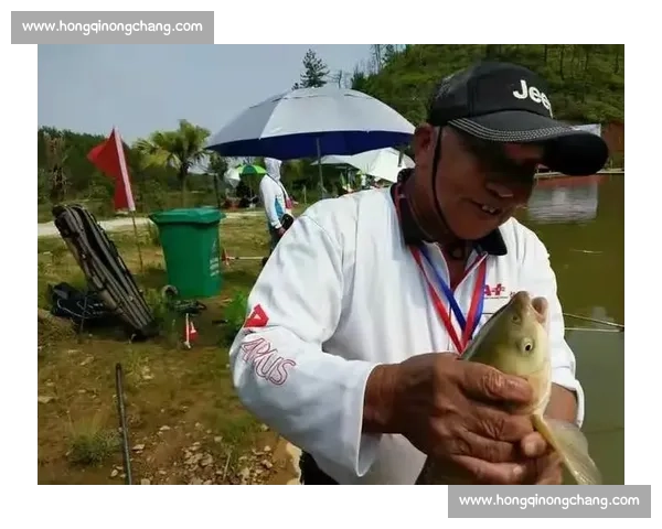 湖库钓鱼盛会精彩瞬间与高手竞技风采全纪录