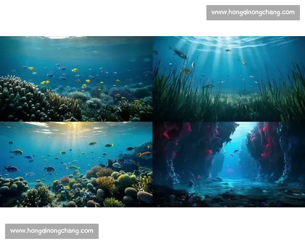 水下接吻大赛挑战极限 爱与勇气的深海碰撞