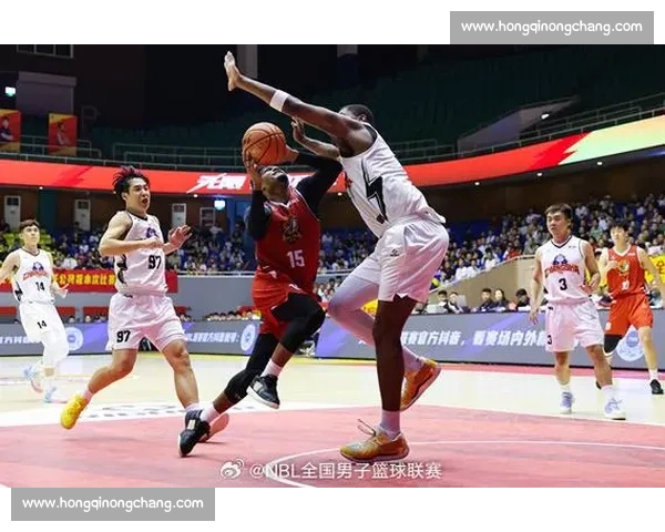 激烈对决回放：NBL赛场精彩瞬间全记录