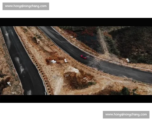 极速争锋赛道争锋 世界顶级赛车巅峰对决盛况揭秘