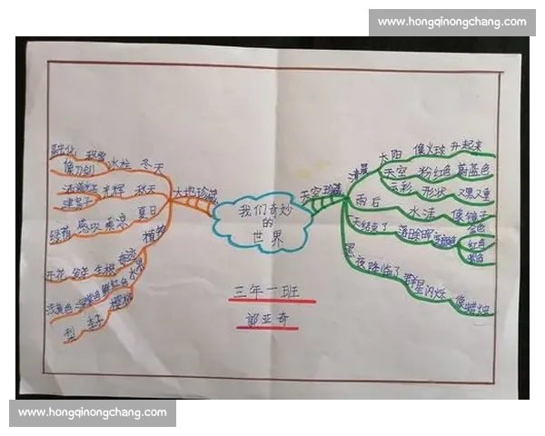 《在语言的世界里寻找心灵的共鸣语文作文比赛中的思维与情感碰撞》