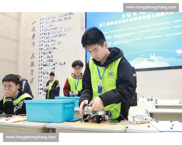 比赛过程中需注意的关键事项与有效应对策略详解
