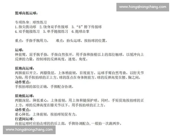 篮球动作规范与训练技巧全面解析与实用指导